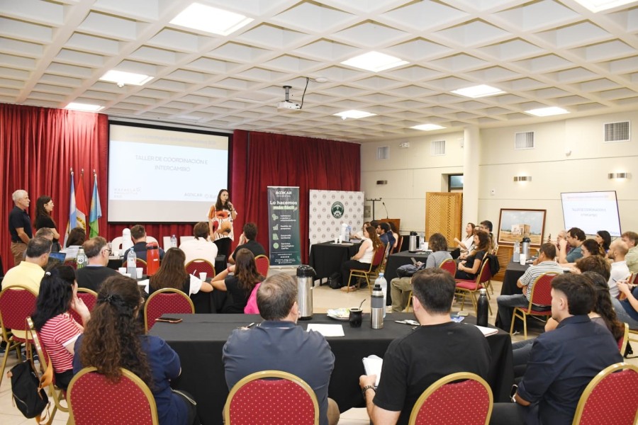 Como voceros del encuentro participaron Daiana Cardoso, gerente de ACDICAR, y Daniel Frana, director ejecutivo de la instituci&oacute;n.