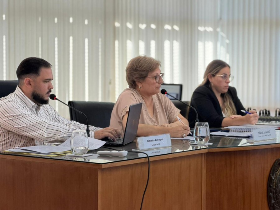 DISCUSIONES. Con esfuerzo, el cuerpo legislativo aprob&oacute; la nueva ordenanza de transporte a trav&eacute;s de remises y plataformas de viajes.