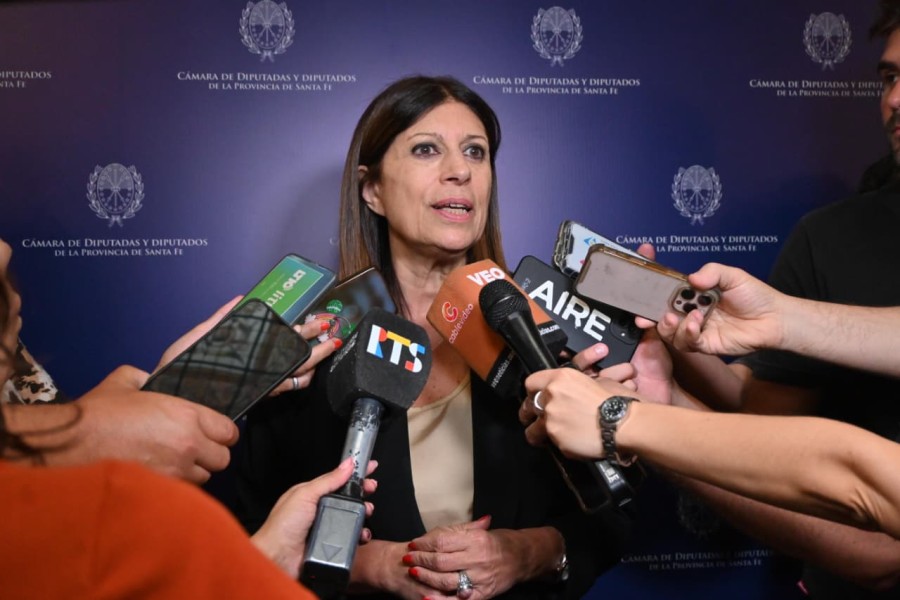 La presidenta de la C&aacute;mara de Diputadas y Diputados, Clara Garc&iacute;a.