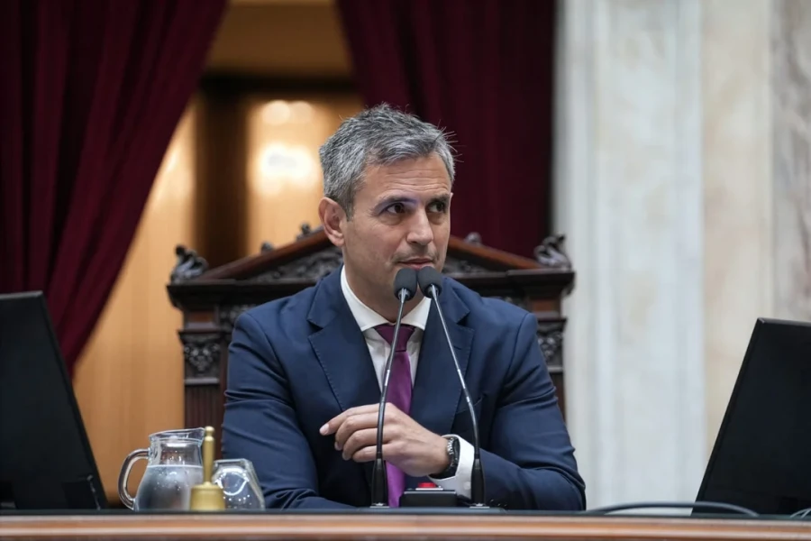 Mart&iacute;n Menem.