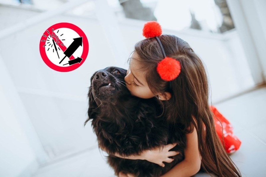 Prohibido el uso de pirotecnia sonora en la ciudad.