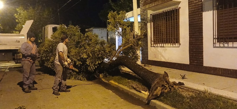 La fuerte tormenta registrada en la ciudad gener&oacute; diversos inconvenientes en el espacio p&uacute;blico.