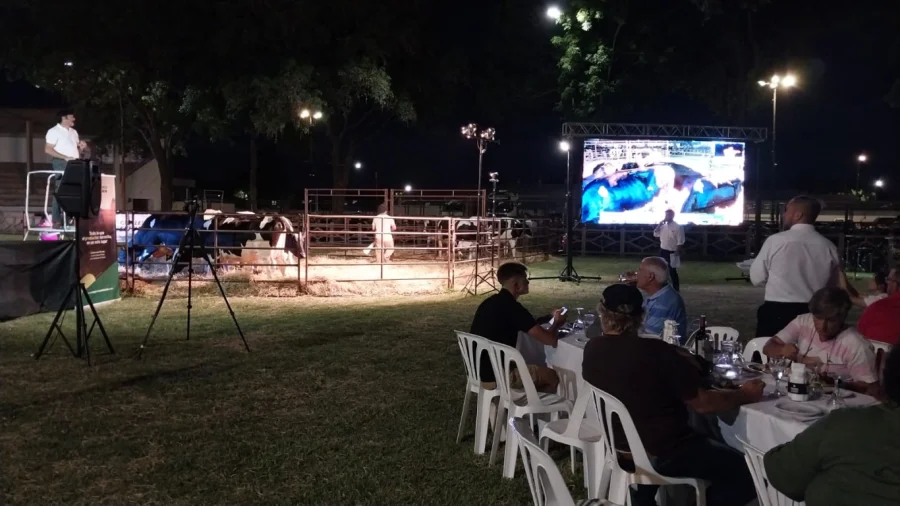 ¿QUIÉN DA MÁS? Los ejemplares en el corral, una pantalla y los productores, la escena del Remate Holando de la Lehmann en la Rural rafaelina.