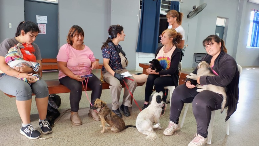 No es necesario solicitar turno, es por orden de llegada.