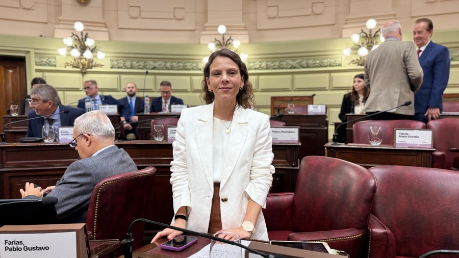 La diputada provincial Gisel Mahmud (PS Unidos).