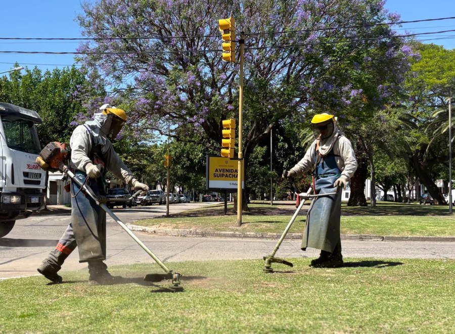 Desmalezado en espacios p&uacute;blicos.