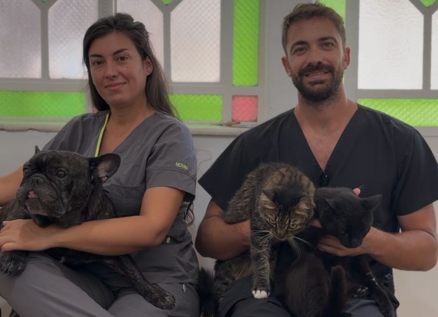 El Concejo Municipal de Rafaela se encuentra desarrollando una campa&ntilde;a de comunicaci&oacute;n.