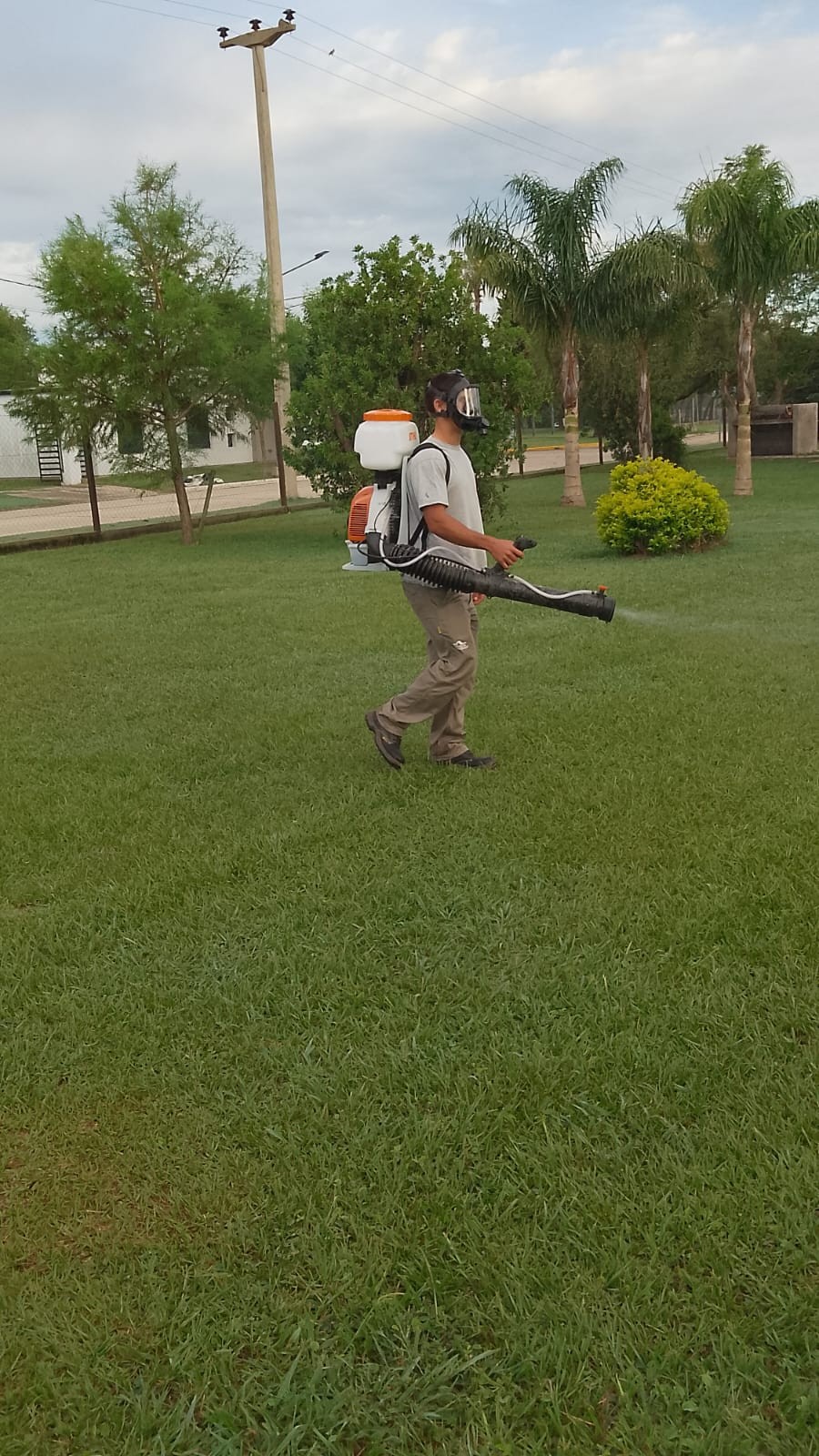 Fumigacio&acute;n una de las acciones que apunta a controlar el vector que transmite el dengue.