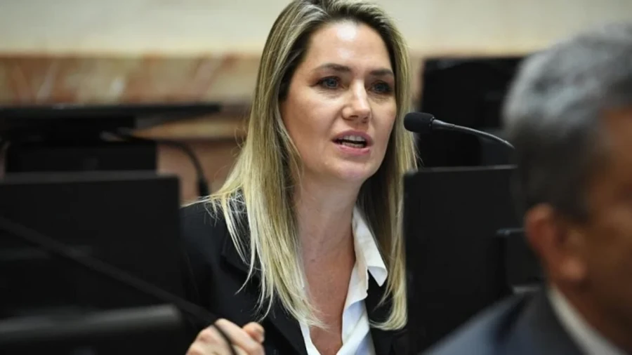 La senadora nacional por la provincia de Santa Fe, Carolina Losada. (FOTO NA)