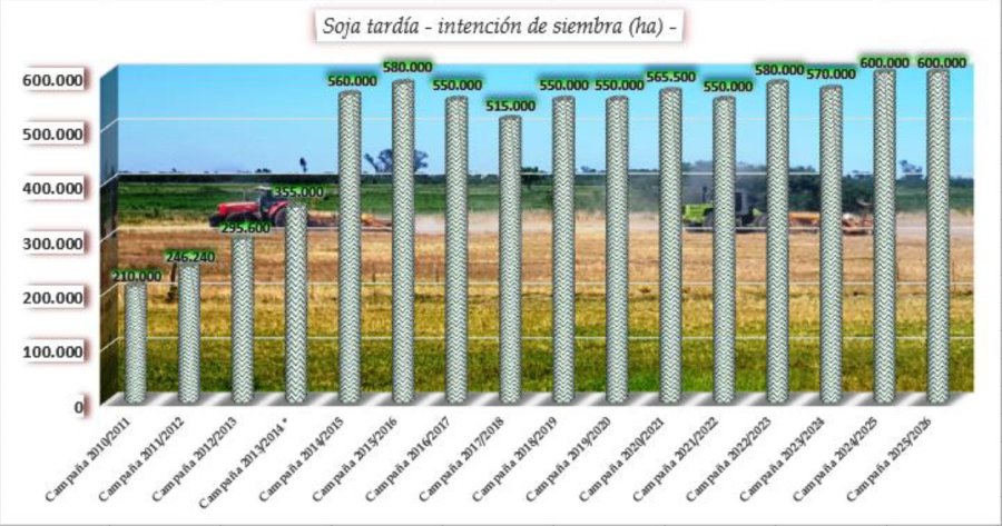 GR&Aacute;FICO SEA BCSF