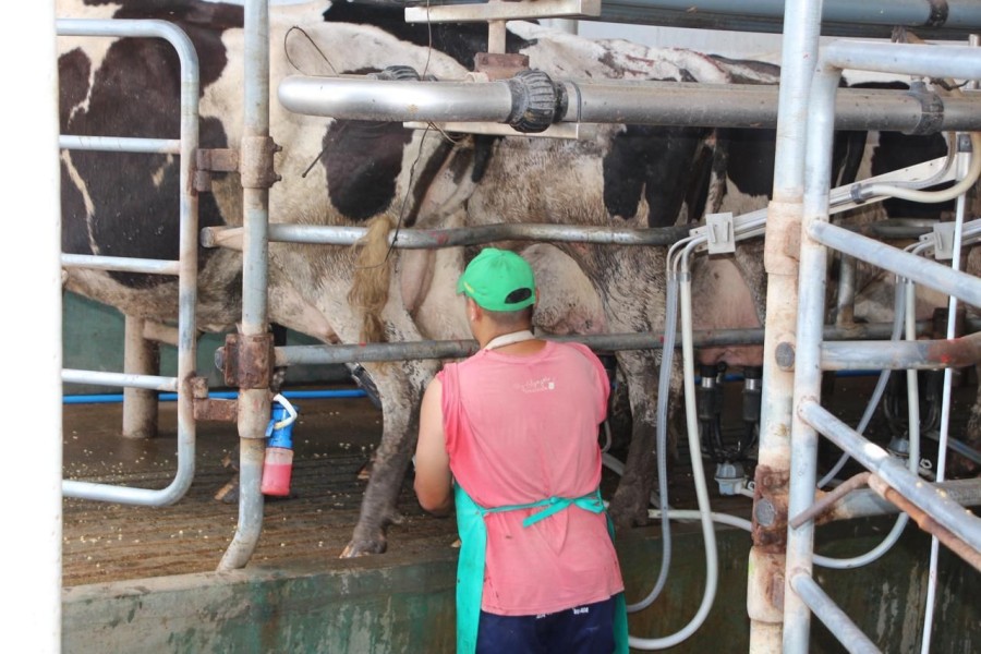 La lecher&iacute;a santafesina atraviesa un momento de crecimiento sostenido.