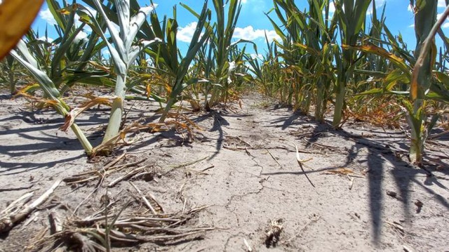 Desde el Ministerio de Desarrollo Productivo recordaron que el tr&aacute;mite es 100 % digital.