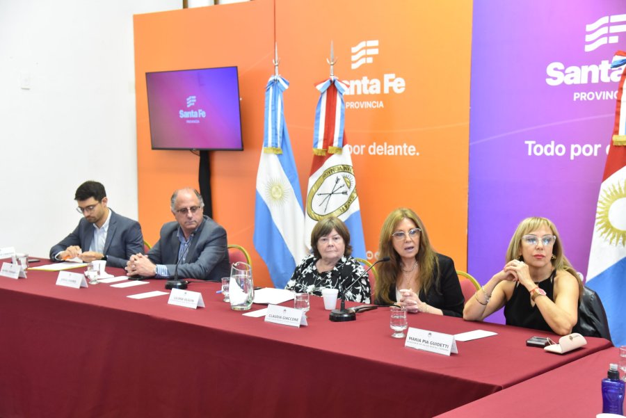 PEDIDO. Liliana Olgu&iacute;n, la subsecretaria de Salud Mental de Santa Fe, y representantes de otras provincias, expresaron esta demanda de manera formal.