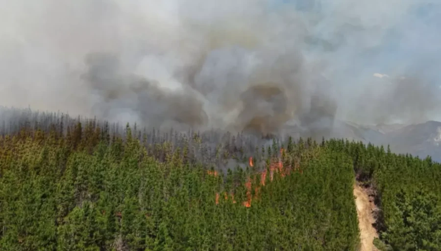 Al menos 700 personas fueron evacuadas por el incendio.