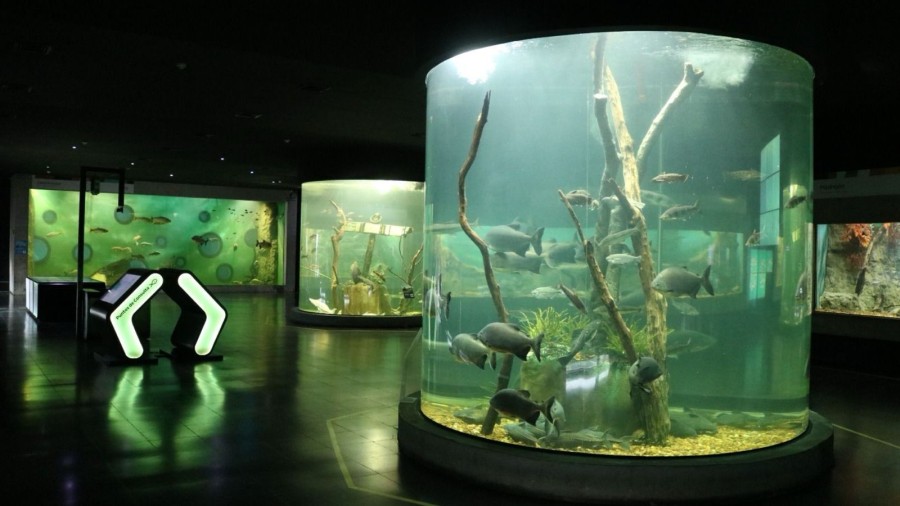 Las instituciones interesadas deben completar el formulario de preinscripci&oacute;n disponible en la web oficial del Gobierno provincial.