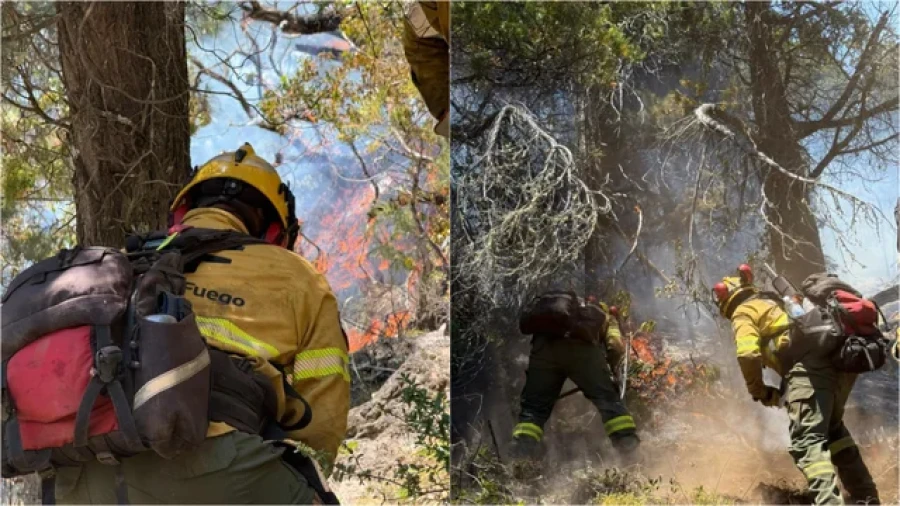 Continuidad de la asistencia t&eacute;cnica y humana enviada a las zonas en emergencia.