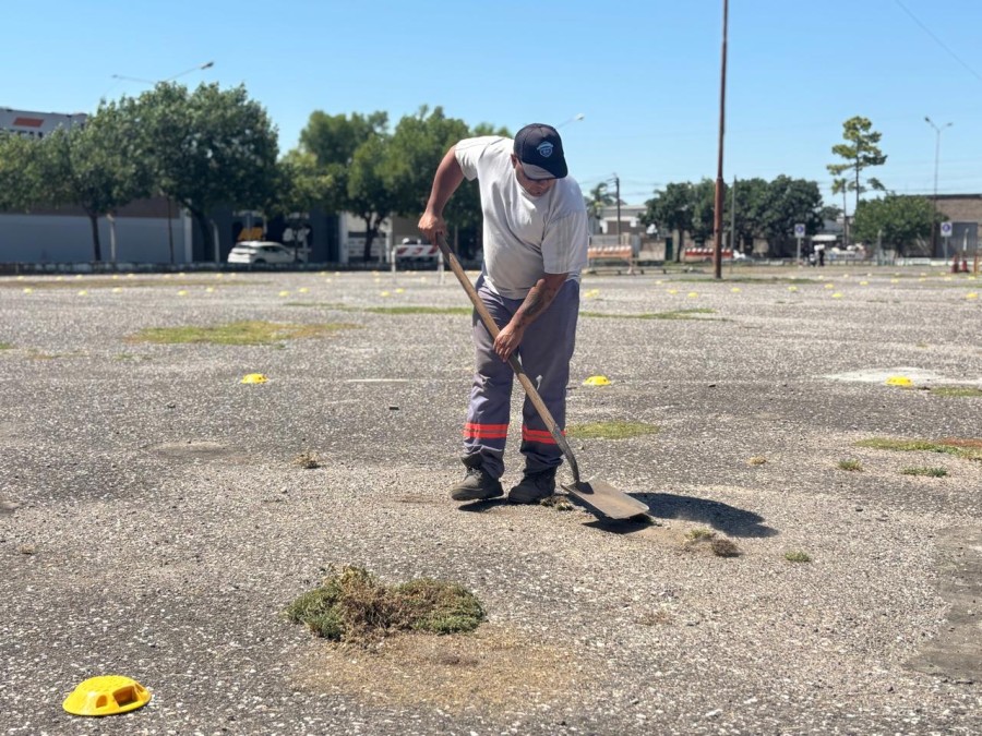Tareas de mantenimiento integral.