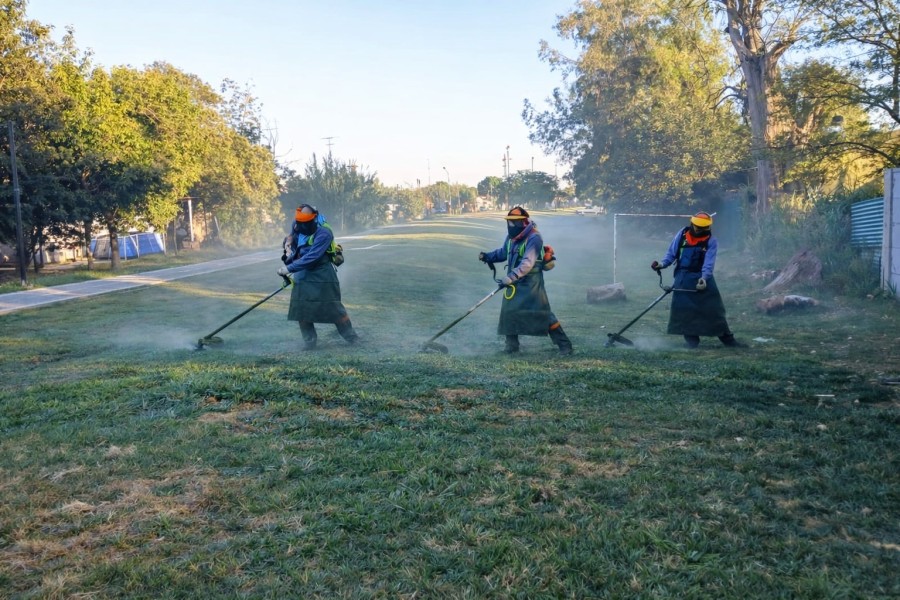 Control de desmalezado.