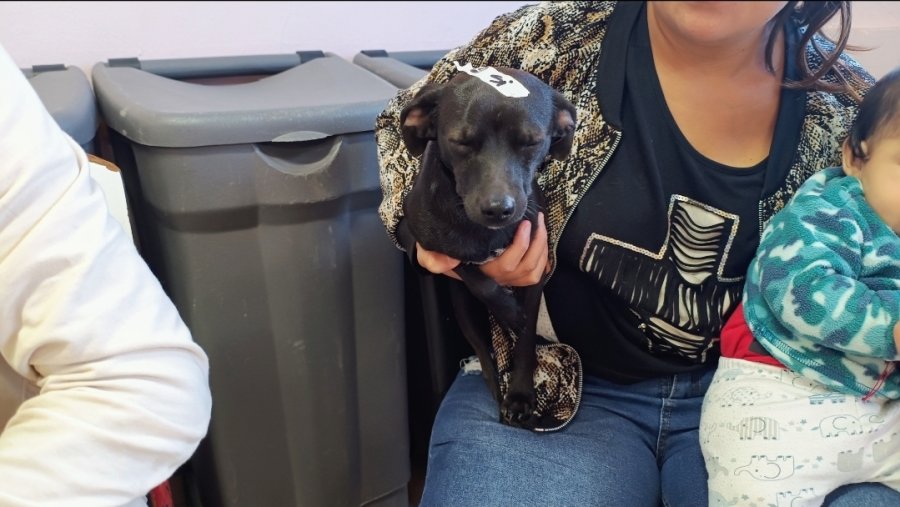 En el barrio San Jos&eacute; no habr&aacute; servicio durante el mes de enero.