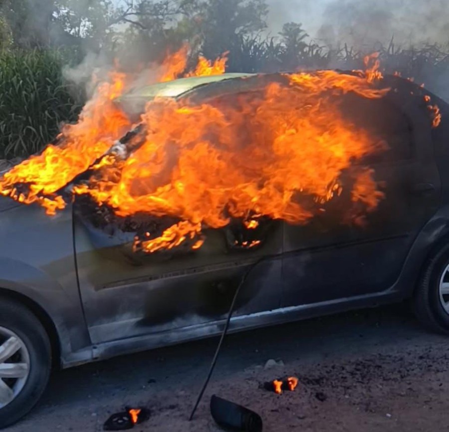 El veh&iacute;culo sufri&oacute; una destrucci&oacute;n total.