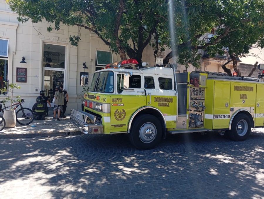 Los bomberos zapadores sobre la vereda en busca del gato que "se escondi&oacute;" en el desag&uuml;e.