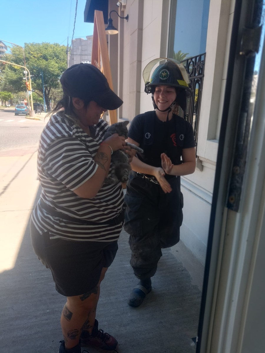 El gatito rescatado del desag&uuml;e ya en brazos de su responsable.
