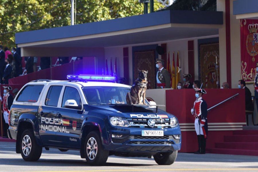 Fecha destinada a reconocer estos valiosos caninos.