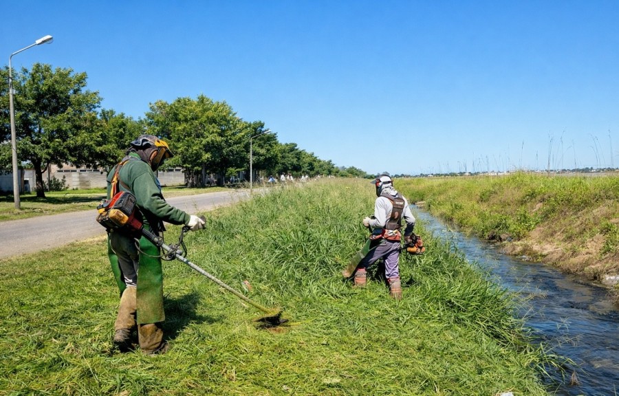 Refuerzo del desmalezado.