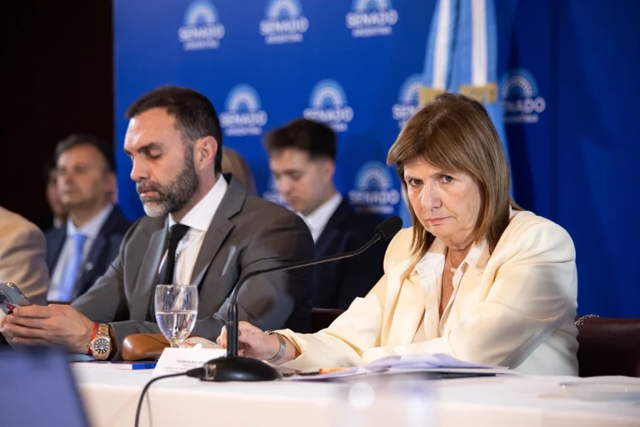 Patricia Bullrich jefa del bloque de NA.