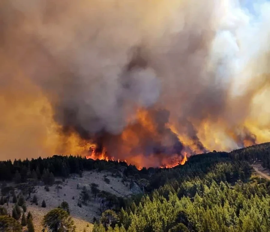 El fuego avanza y compromete a siete provincias argentinas.