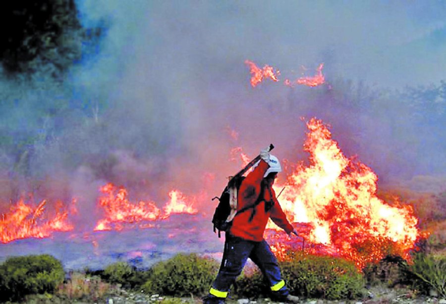 RESOLUCI&Oacute;N. El Gobierno nacional avanz&oacute; en la decisi&oacute;n de declarar la Emergencia &iacute;gnea en las provincias que sufren incendios forestales.