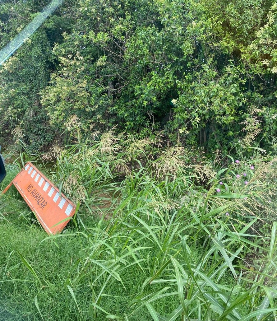 Un viejo cartel de la Municipalidad de Rafaela perdido entre los altos yuyos de la cuneta. (FOTO LO)