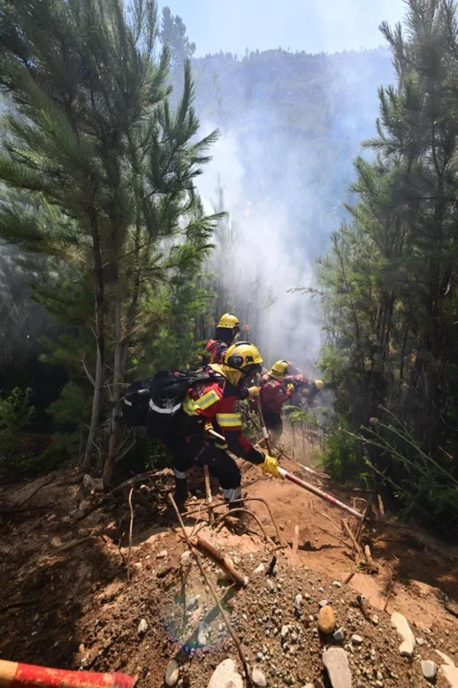 Brigadistas en los incendios.