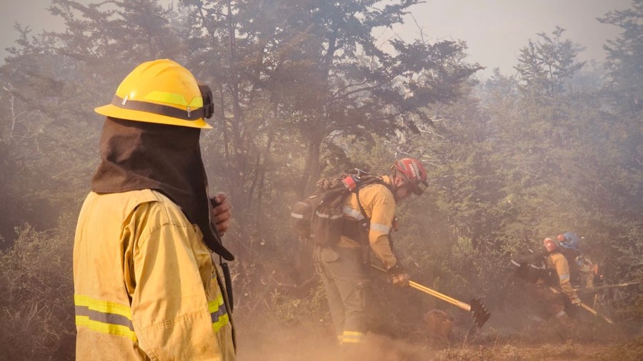 Pullaro dispuso la conformaci&oacute;n y env&iacute;o de un contingente de brigadistas forestales certificados.