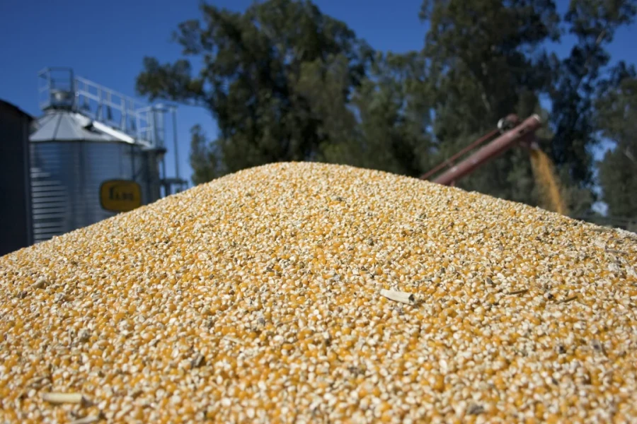 Las empresas del complejo oleaginoso-cerealero liquidaron USD 1.850 millones durante enero de 2026.