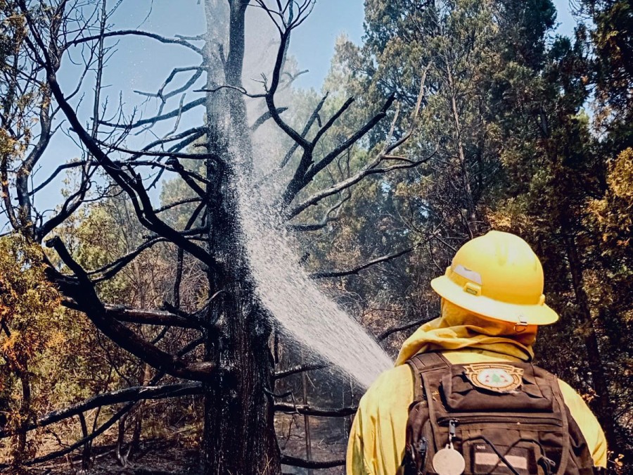 Un bombero arroja agua contra un &aacute;rbol completamente quemado tratando de enfriar la zona. (FOTO SCS)