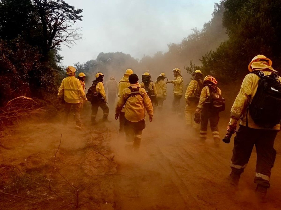 Los brigadistas santafesinos caminan en una zona donde se advierte el humo de los incendios.
