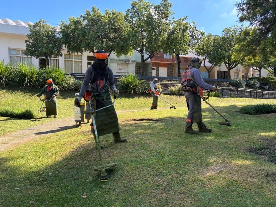 Los trabajos son llevados adelante por personal del &aacute;rea de Espacios Verdes.