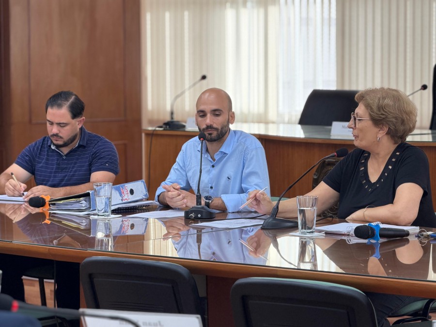 El director del IMV, Pierluigi Chiatti, en el Concejo junto a su presidenta, Mabel Fossatti.