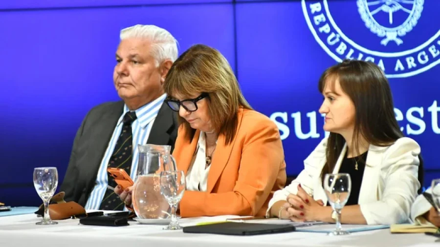 La senadora Patricia Bullrich en el Senado.