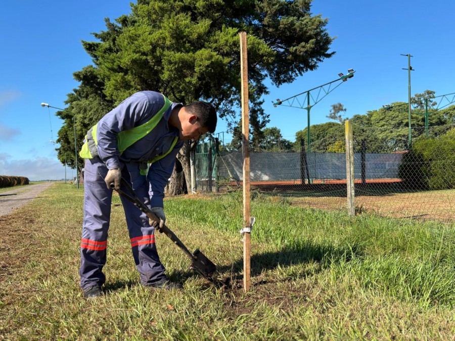 El Municipio complet&oacute; 2.487 metros de cortina forestal.