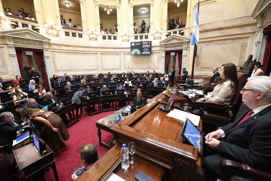 El Senado dio media sanci&oacute;n a la reforma laboral tras una extensa sesi&oacute;n. (FOTO SENADO ARGENTINA)