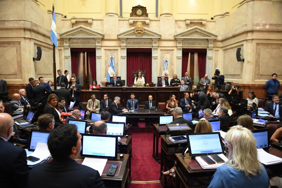 La vicepresidenta de la Naci&oacute;n, Victoria Villarruel, presidi&oacute; la sesi&oacute;n del Senado.