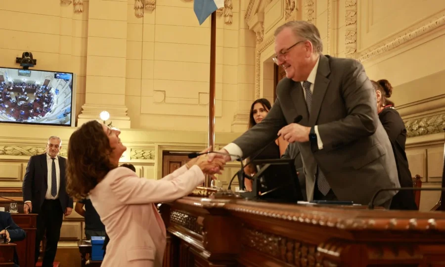 SENADO. El radical Felipe Michlig jur&oacute; como presidente del cuerpo.