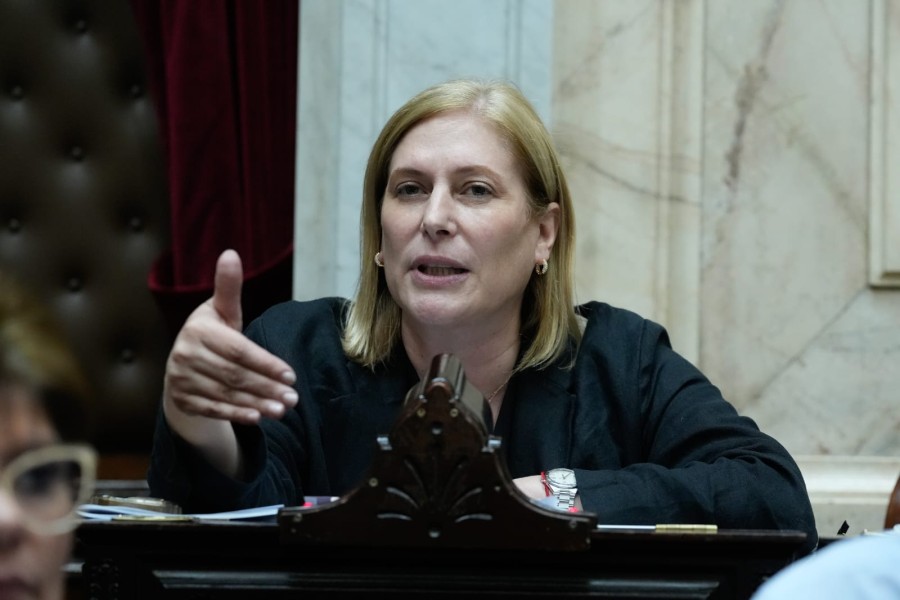 SANTAFESINA. Gisela Scaglia vot&oacute; a favor de la baja de la edad de imputabilidad.