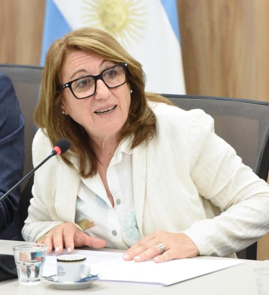 La diputada M&oacute;nica Fein consider&oacute; que el proyecto oficialista sobre reforma laboral elude una discusi&oacute;n seria sobre el desarrollo econ&oacute;mico.