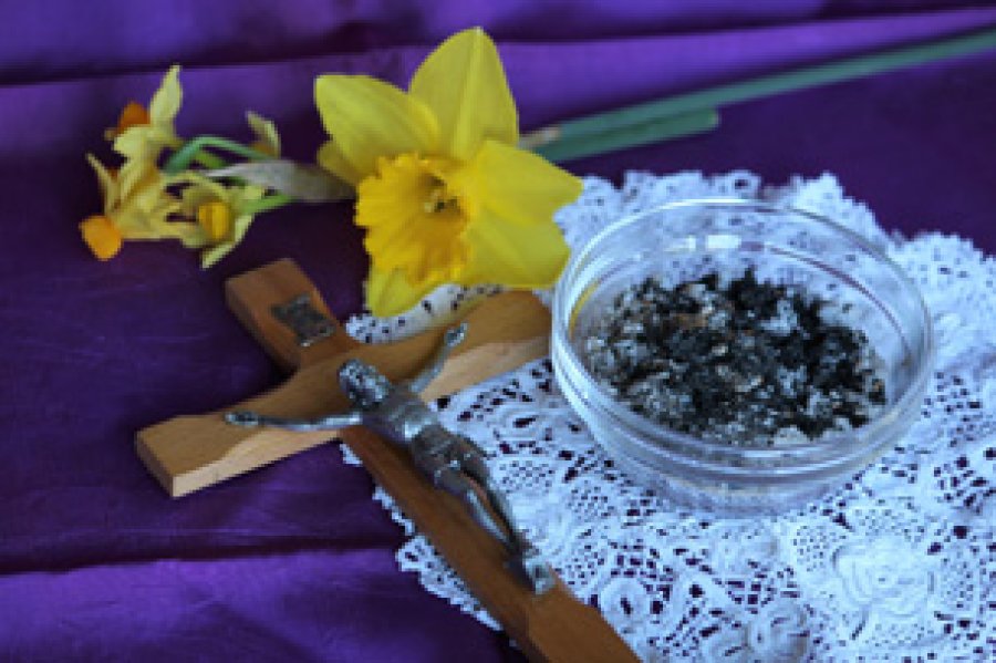 Hoy comienza el tiempo de preparaci&oacute;n para celebrar la Pascua.