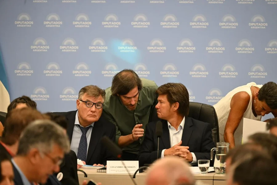 El plenario encabezado por los libertarios Bornoroni y Almir&oacute;n. (FOTO NA)