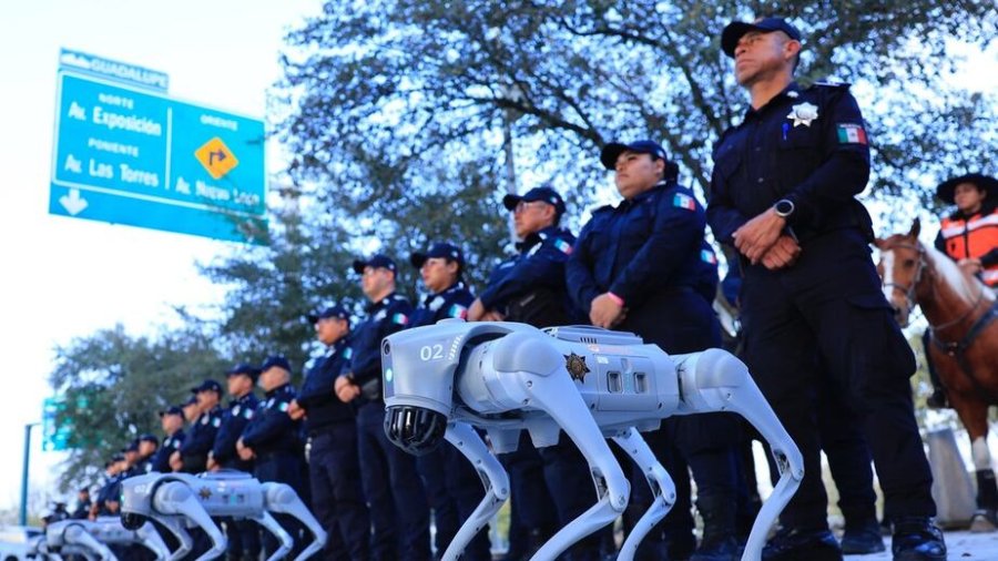 Perros robot en el Mundial, del lado mexicano.