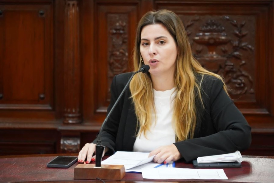 &ldquo;La integraci&oacute;n de la Corte Suprema no puede resolverse de espaldas a la sociedad", opin&oacute; Cattalini.